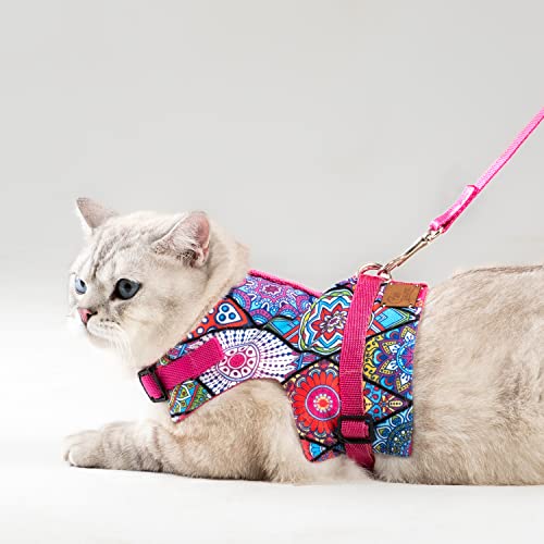 Patipatron Katzengeschirr und Leine, ausbruchsicher, verstellbares Kätzchengeschirr für große/mittel/kleine Katzen, Spazierengehen, Reisen, Haustiersicheres Geschirr (Ethnic Pink, L) von Patipatron