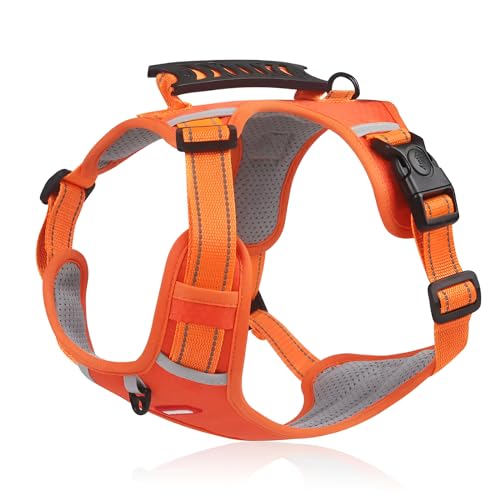 Arnes Großer Hund, Mittelgroß, klein, Hundegeschirr, mit reflektierenden Linien, bequem, atmungsaktiv, verstellbar, für Training und Laufen (L, Orange) von Patitas Shop