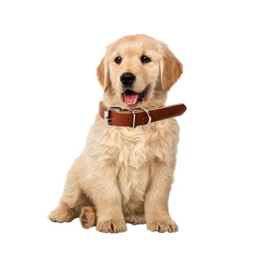 Hundehalsband aus Leder, breites und dickes Halsband mit weicher Polsterung, verstellbares Hundehalsband aus strapazierfähigem Leder für kleine, mittlere und große Hunde (M, Braun) von Patitas Shop