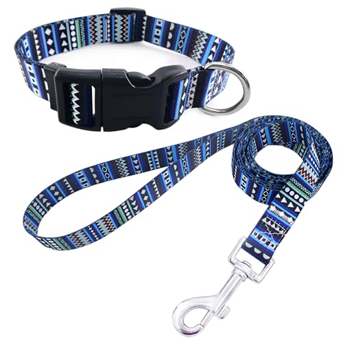 Hundehalsband mit Leine, verstellbar und robust mit modischen Mustern, bequemes Nylonhalsband und Leine für kleine, mittelgroße große Hunde, Welpen (M, Design 3) von Patitas Shop