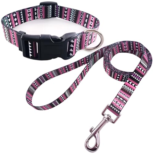 Hundehalsband mit Leine, verstellbar und robust mit modischen Mustern, bequemes Nylonhalsband und Leine für kleine mittelgroße große Hunde, Welpen (S, Design 4) von Patitas Shop