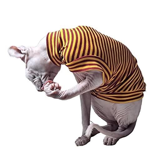 Haarlose Katzen-T-Shirt, gestreift, Baumwolle, Haustierkleidung, Katzen und kleine Hunde, weich, atmungsaktiv, Anti-Falling-Weste, Bekleidung, Shirts für Sphynx, Cornish Rex, Peterbald-Gelb, S von Pavel Korchagin