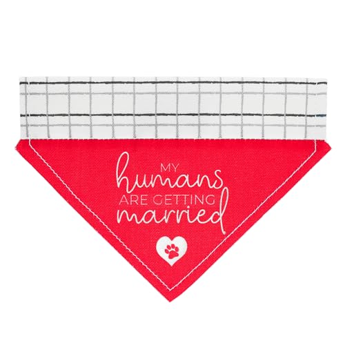 Pavilion – My Humans are Getting Married – Leinen-Halstuch, für kleine Hunde und Katzen, über dem Halsband, Pfotenabdruck, Herz, kariert, Bandana, Befestigung für Kätzchen, Welpen, Kätzchen, Kätzchen, von Pavilion Gift Company