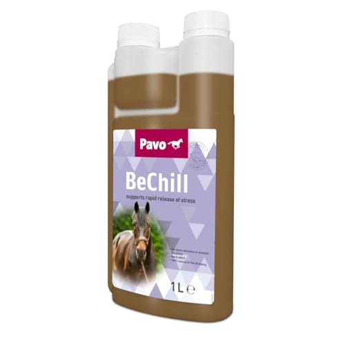 Pavo BeChill Sonstige - 1 Liter von Pavo