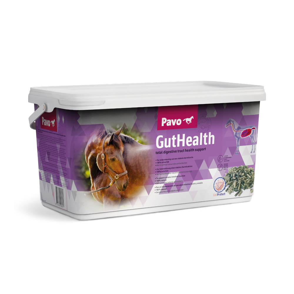 Pavo GutHealth - 7,5 kg von Pavo