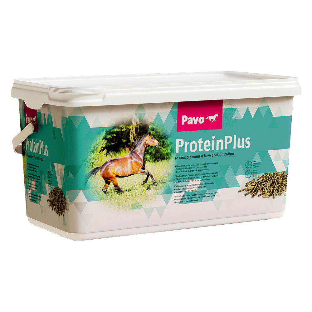 Pavo ProteinPlus - 7 kg von Pavo
