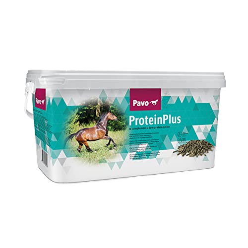 Pavo ProteinPlus | Hochkonzentrierte Eiweißquelle | 7 KG von Pavo