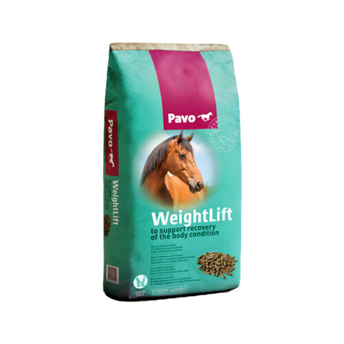 Pavo - WeightLift - 20 kg von Pavo