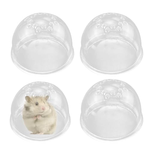 Pavsicgn Hamster Stopfen,Endverbinder Für Zwergröhren | Abschlusskappen für Nagetierlabyrinth & Aktivitätszubehör für Hamster, Mäuse & Kleintiere Pavsicgn Hamster Stopfen,Endverbinder Für Zwergröhren | Abschlusskappen für Nagetierlabyrinth & Aktivitätszubehör für Hamster, Mäuse & Kleintiere von Pavsicgn