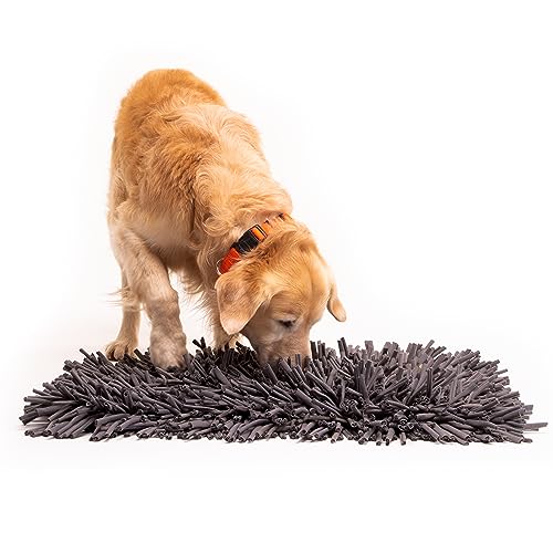 Paw 5 Hunde Schnüffelmatte für Hunde Klein - Hundespielzeug Interaktiv - Fütterungsspiel - Reduziert Langeweile & Angstzustände Premium Fütterungsmatte für langsames Essen & Geruchstraining - Hunde von PAW5