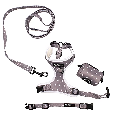 Paw Highness Hundegeschirr, Halsband, Leine und Kotbeutelhalter, Set, Grau mit Punkten von Paw Highness