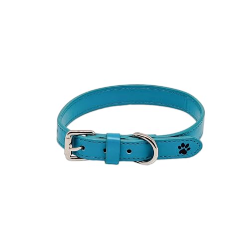 Türkisfarbene Leder Hundehalsband - Türkisfarbene Halsband Für Hunde Aus Leder - Twinkly Turquoise - Paw My God! - Größe L von Paw My God!