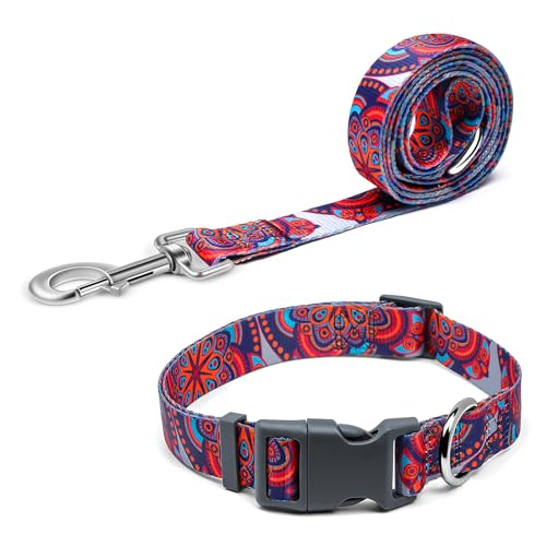 Pawhuggies Hundehalsband und Leine, Set aus atmungsaktiver Bambusfaser, verstellbares Hundehalsband und 122 cm lange Hundeleine für mittelgroße Hunde und tägliches Gassigehen (groß) von PawHuggies