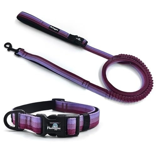 Pawhuggies Hundehalsband und Leine, Set für große Hunde, atmungsaktiv, verstellbar, für den täglichen Spaziergang und Laufen, Farbverlauf, Violett von PawHuggies