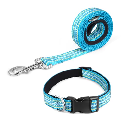 Pawhuggies Reflektierendes Hundehalsband und Leine, Nylon-Hundeleine mit robustem D-Ring aus Stahl, verstellbar mit Schnellverschluss-Schnalle für kleine Hunde, Cyan, Größe S Pawhuggies Reflektierendes Hundehalsband und Leine, Nylon-Hundeleine mit robustem D-Ring aus Stahl, verstellbar mit Schnellverschluss-Schnalle für kleine Hunde, Cyan, Größe S von PawHuggies