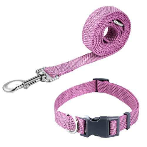 Pawhuggies Reflektierendes Hundehalsband und Leine, Nylon-Hundeleine mit robustem D-Ring aus Stahl, verstellbar mit Schnellverschluss-Schnalle für kleine Hunde, Lila, Größe S Pawhuggies Reflektierendes Hundehalsband und Leine, Nylon-Hundeleine mit robustem D-Ring aus Stahl, verstellbar mit Schnellverschluss-Schnalle für kleine Hunde, Lila, Größe S von PawHuggies