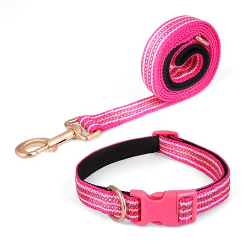 Pawhuggies Reflektierendes Hundehalsband und Leine, Nylon-Hundeleine mit robustem D-Ring aus Stahl, verstellbar mit Schnellverschluss-Schnalle für mittelgroße Hunde, Hot Pink, Größe M Pawhuggies Reflektierendes Hundehalsband und Leine, Nylon-Hundeleine mit robustem D-Ring aus Stahl, verstellbar mit Schnellverschluss-Schnalle für mittelgroße Hunde, Hot Pink, Größe M von PawHuggies