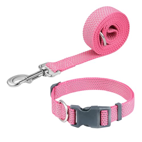 Pawhuggies Reflektierendes Hundehalsband und Leine, Nylon-Hundeleine mit robustem D-Ring aus Stahl, verstellbar mit Schnellverschluss-Schnalle für mittelgroße Hunde, Rosa, Größe M Pawhuggies Reflektierendes Hundehalsband und Leine, Nylon-Hundeleine mit robustem D-Ring aus Stahl, verstellbar mit Schnellverschluss-Schnalle für mittelgroße Hunde, Rosa, Größe M von PawHuggies