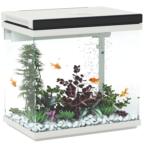 PawHut 26 Liter Aquarium mit Filter, LED-Beleuchtung, Wasserpumpe, für Verschiedene Fischarten, ca. 38 x 26 x 38 cm von PawHut