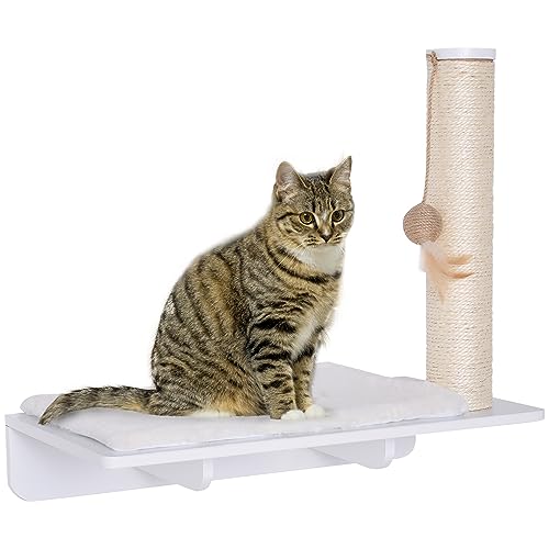 PawHut Kletterwand Katzen, Wandkratzbaum, Katzenliege mit Kratzbaum,53cm Katzenregal mit Ballspielzeug, Plüschauflage, Katzenkratzbaum, Katzensäule, Weiß von PawHut