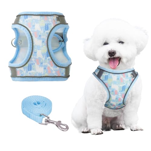 PawSailor Anti-Pull-Hundegeschirr Und Leine-Set, Atmungsaktiv, Verstellbar, Reflektierend Mit Blumendruck, Weich Gepolstertes Westengeschirr Für Mittelgroße Hunde, Blau, L von PawSailor