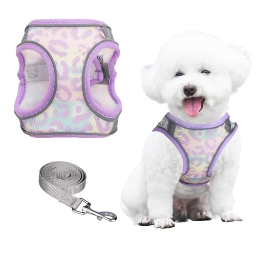 PawSailor Anti-Pull-Hundegeschirr Und Leine-Set, Atmungsaktiv, Verstellbar, Reflektierend Mit Blumendruck, Weich Gepolstertes Westengeschirr Für Mittelgroße Hunde, Lavendel, L von PawSailor