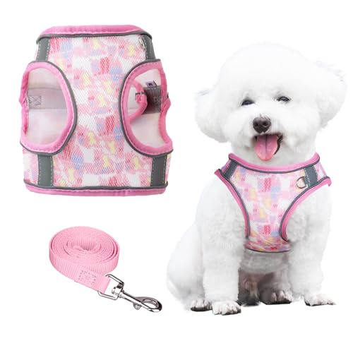 PawSailor Anti-Pull-Hundegeschirr Und Leine-Set, Atmungsaktiv, Verstellbar, Reflektierend Mit Blumendruck, Weich Gepolstertes Westengeschirr Für Mittelgroße Hunde, Rosa, L von PawSailor