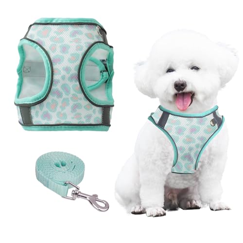 PawSailor Extra Kleines Hundegeschirr Mit Leine, Step-In Air Mesh Blumendruck, Kein Ziehen, Weste, Verstellbar, Reflektierend, Weich Gepolstert, Ausbruchsicher, Haustiergeschirr, Grün, XXXS von PawSailor