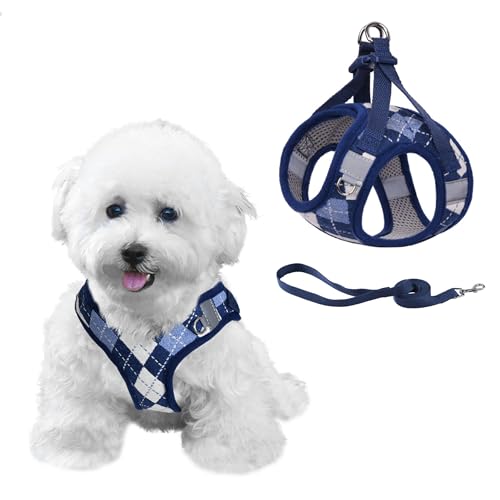 PawSailor No-Pull-Hundegeschirr, mittelgroß, mit Leine, verstellbares Kariertes Step-in-Mesh-Hundewestengeschirr für Welpen, ausbruchsicher, reflektierender Sicherheitsgang, Blau M von PawSailor