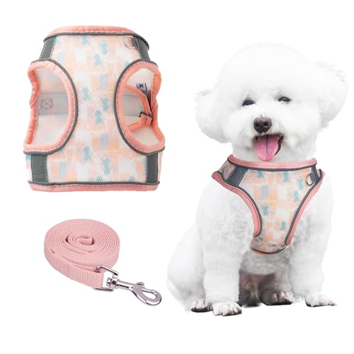 PawSailor No-Pull-Hundegeschirr Und Leine-Set, Step-In-Blumendruck, Verstellbares, Netz-Haustiergeschirr, Reflektierendes, Weich Gepolstertes Westengeschirr Für Kleine Hunde, Koralle, XXS von PawSailor