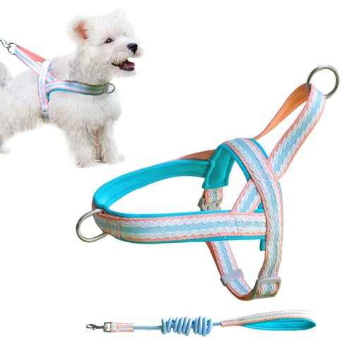 PawSailor No-Pull-Hundegeschirr mit Leine, Weich Gepolstert mit Griff, Gestreiftes, Ausbruchsicheres, Schnell Anzubringendes, Verstellbares Hundegeschirr für Kleine, Mittelgroße Hunde, Blau L von PawSailor