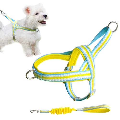 PawSailor No-Pull-Hundegeschirr mit Leine, Weich Gepolstert mit Griff, Gestreiftes, Ausbruchsicheres, Schnell Anzubringendes, Verstellbares Hundegeschirr für Kleine, Mittelgroße Hunde, Gelb L von PawSailor