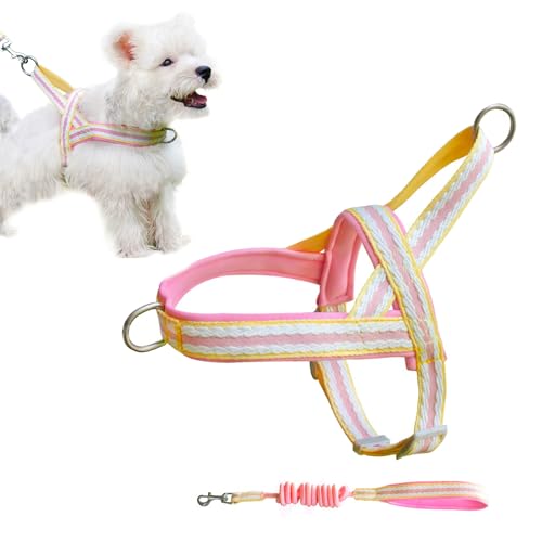 PawSailor No-Pull-Hundegeschirr mit Leine, Weich Gepolstert mit Griff, Gestreiftes, Ausbruchsicheres, Schnell Anzubringendes, Verstellbares Hundegeschirr für Kleine, Mittelgroße Hunde, Rosa L von PawSailor