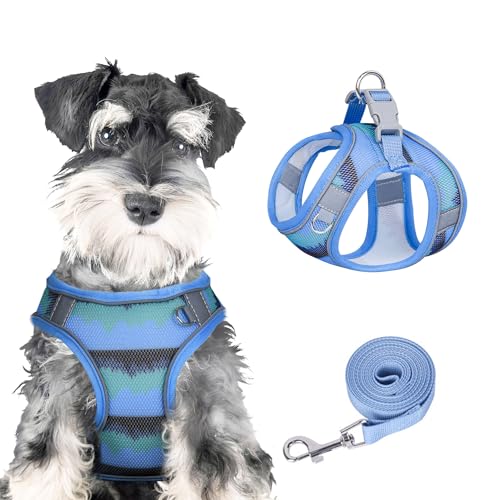 Pawsailor Anti-Zug-Hundegeschirr-Leinen-Set, Verstellbar, Step-In, Atmungsaktiv, Leicht, Mit Druckmuster, Ausbruchsicheres Hundegeschirr, Reflektierend, Für Alle Jahreszeiten, Blau, M von PawSailor