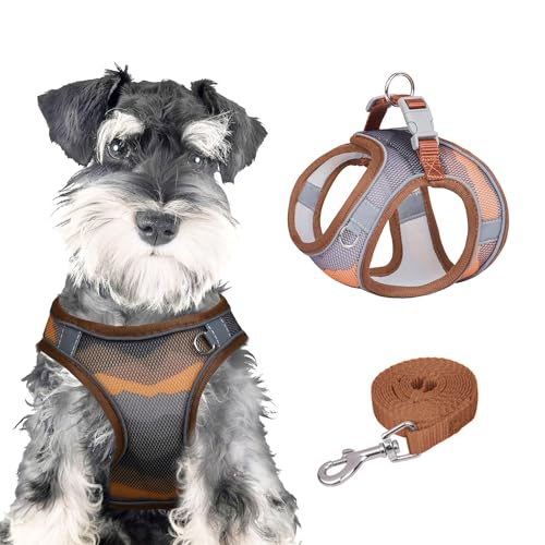 PawSailor Anti-Zug-Hundegeschirr-Leinen-Set, Verstellbar, Step-In, Atmungsaktiv, Leicht, Mit Druckmuster, Ausbruchsicheres Hundegeschirr, Reflektierend, Für Alle Jahreszeiten, Braun, M von PawSailor