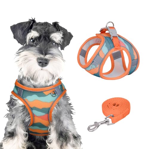 PawSailor Anti-Zug-Hundegeschirr-Leinen-Set, Verstellbar, Step-In, Atmungsaktiv, Leicht, Mit Druckmuster, Ausbruchsicheres Hundegeschirr, Reflektierend, Für Alle Jahreszeiten, Orange, M von PawSailor