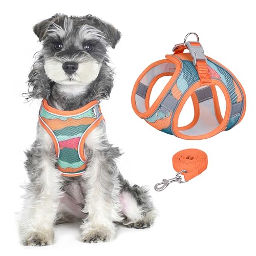 PawSailor No Pull Hundegeschirr Und Leinen-Set, Weiches Netzgewebe, Atmungsaktiv, Step-In, Verstellbar, Bedruckt, Reflektierend, Ausbruchsicher, Für Kleine Und Mittelgroße Hunde, Orange L von PawSailor