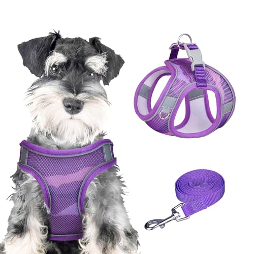 PawSailor Step-In Hundegeschirr Und Leine Set Aus Netzstoff, Atmungsaktiv, Kein Ziehen, Ausbruchsicher, Reflektierend, Verstellbar, Easy Walk, Welpenweste, Geschirr Für Kleine Hunde, Katzen, Lila XS von PawSailor