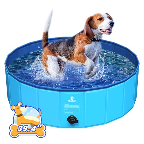 Pawaboo Faltbarer Hundepool Hundebad, Swimmingpool für Hunde, Einfache Aufbewahrung, Harte Kratzfeste Haustier Pool für Welpen Katzen, Tragbar Planschbecken für Haustiere (100cm x 30cm, M) von Pawaboo