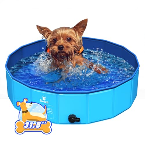 Pawaboo Faltbarer Hundepool Hundebad, Swimmingpool für Hunde, Einfache Aufbewahrung, Harte Kratzfeste Haustier Pool für Welpen Katzen, Tragbar Planschbecken für Haustiere (80cm x 20cm, S) von Pawaboo