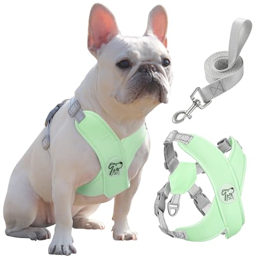 Pawaboo Hundegeschirr mit Hundeleine Set, X-Rahmen Verstellbares Anti Zug Anti-Erstickung Hund Brustgeschirr für Kleine, Mittelgroße Hunde & Welpen, Atmungsaktive Hundeweste mit Leine, L, Minzgrün von Pawaboo