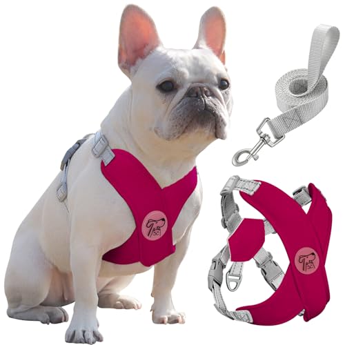 Pawaboo Hundegeschirr mit Hundeleine Set, X-Rahmen Verstellbares Anti Zug Anti-Erstickung Hund Brustgeschirr für Kleine, Mittelgroße Hunde & Welpen, Atmungsaktive Hundeweste mit Leine, L, Magenta von Pawaboo