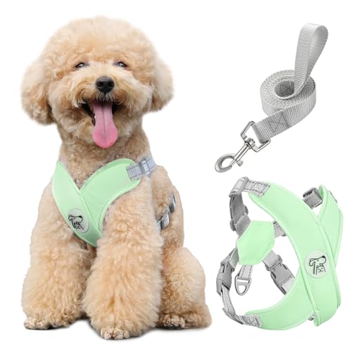 Pawaboo Hundegeschirr mit Hundeleine Set, X-Rahmen Verstellbares Anti Zug Anti-Erstickung Hund Brustgeschirr für Kleine, Mittelgroße Hunde & Welpen, Atmungsaktive Hundeweste mit Leine, M, Minzgrün von Pawaboo