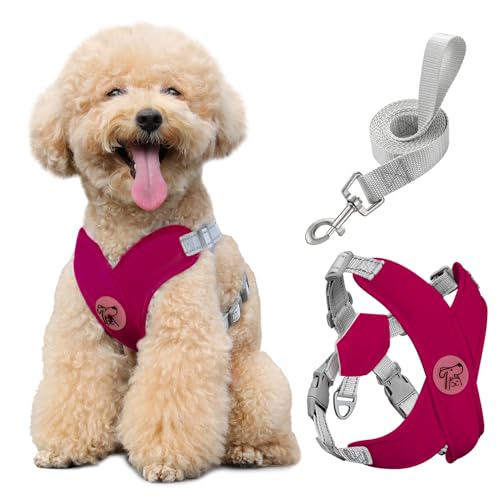 Pawaboo Hundegeschirr mit Hundeleine Set, X-Rahmen Verstellbares Anti Zug Anti-Erstickung Hund Brustgeschirr für Kleine, Mittelgroße Hunde & Welpen, Atmungsaktive Hundeweste mit Leine, M, Magenta von Pawaboo