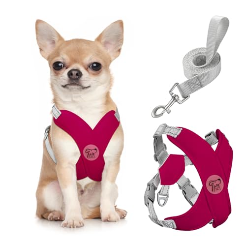 Pawaboo Hundegeschirr mit Hundeleine Set, X-Rahmen Verstellbares Anti Zug Anti-Erstickung Hund Brustgeschirr für Kleine, Mittelgroße Hunde & Welpen, Atmungsaktive Hundeweste mit Leine, S, Magenta von Pawaboo