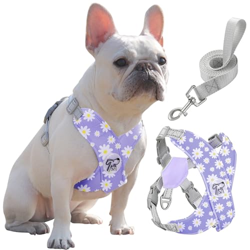 Pawaboo Hundegeschirr mit Hundeleine Set, X-Rahmen Verstellbares Anti Zug Anti-Erstickung Hund Brustgeschirr für Kleine, Mittelgroße Hunde & Welpen, Hundeweste mit Leine, L, Violette Gänseblume von Pawaboo