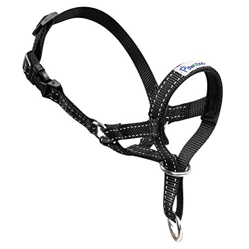 Pawaboo Hundehalfter Haustier Sicher Kontrolle - Nylon Reflektierende einstellbare Hundehalter Hundeband Training Halter für Hunde, Wepeln, M Größe, Schwarz von Pawaboo