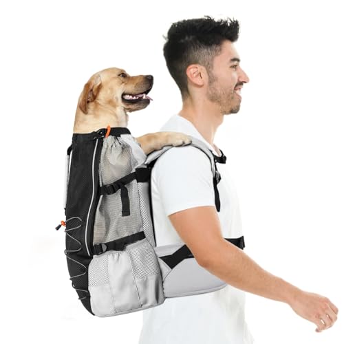 Pawaboo Hunderucksack, Hunde Reisetasche für Kleine Mittlere Rassen, Verstellbar Atmungsaktiv Netz, Welpenrucksack mit Brustgurt, Ergonomisch Haustier Hund Tragetasche für Wandern Reisen, M, Schwarz von Pawaboo