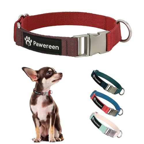 Pawereen Basic Hundehalsband, robuste Metallschnalle, weiches recyceltes Gurtband, Befestigung an der Leine, verstellbare Größe für kleine, mittelgroße und große Hunde, Größe XS, roter Samt von Pawereen