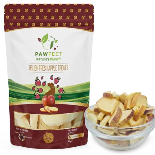 Pawfect Nature's Munch Delish Fresh Apple - Pack of 6 (40gX6=240g) von Pawfect Treats